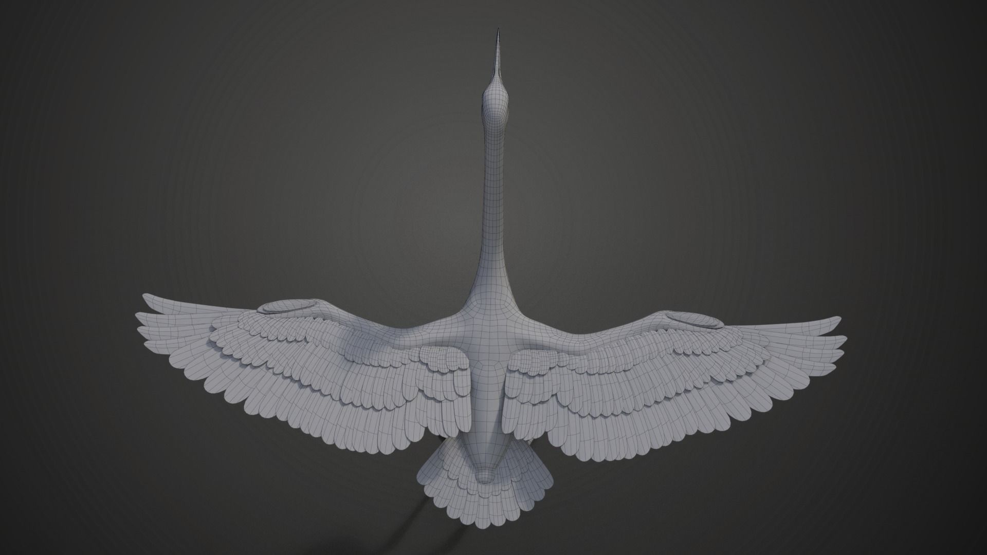 Egret Animated VFX Grace 3D model_30