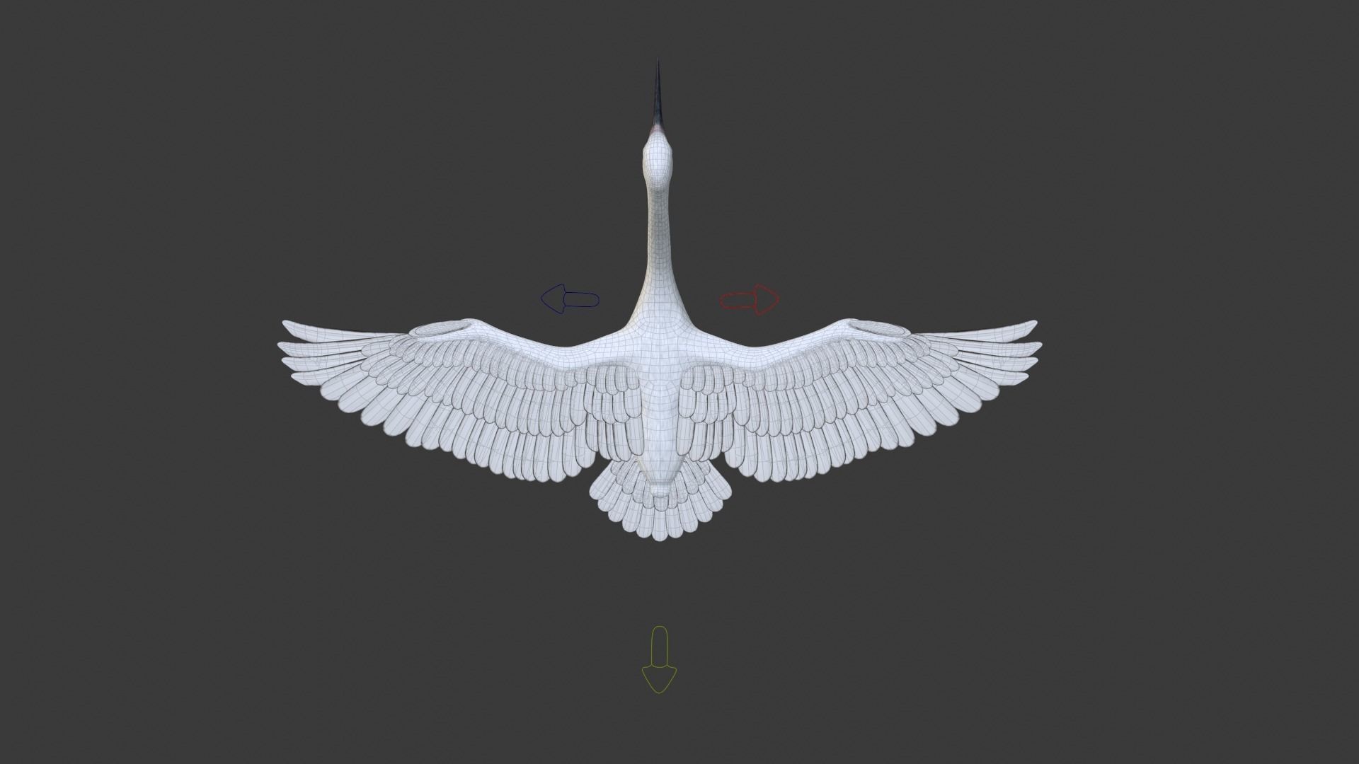Egret Animated VFX Grace 3D model_26