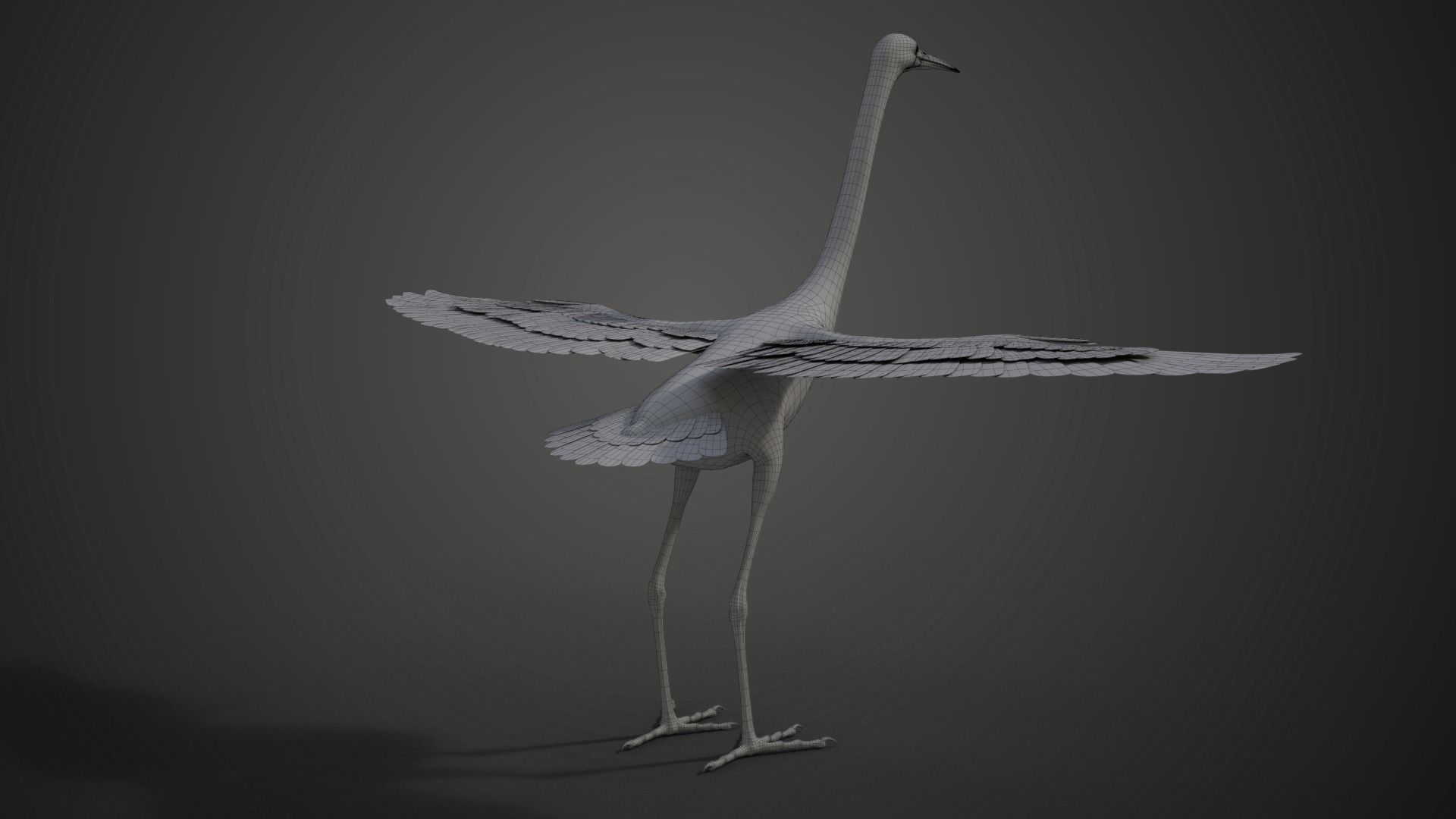 Egret Animated VFX Grace 3D model_29