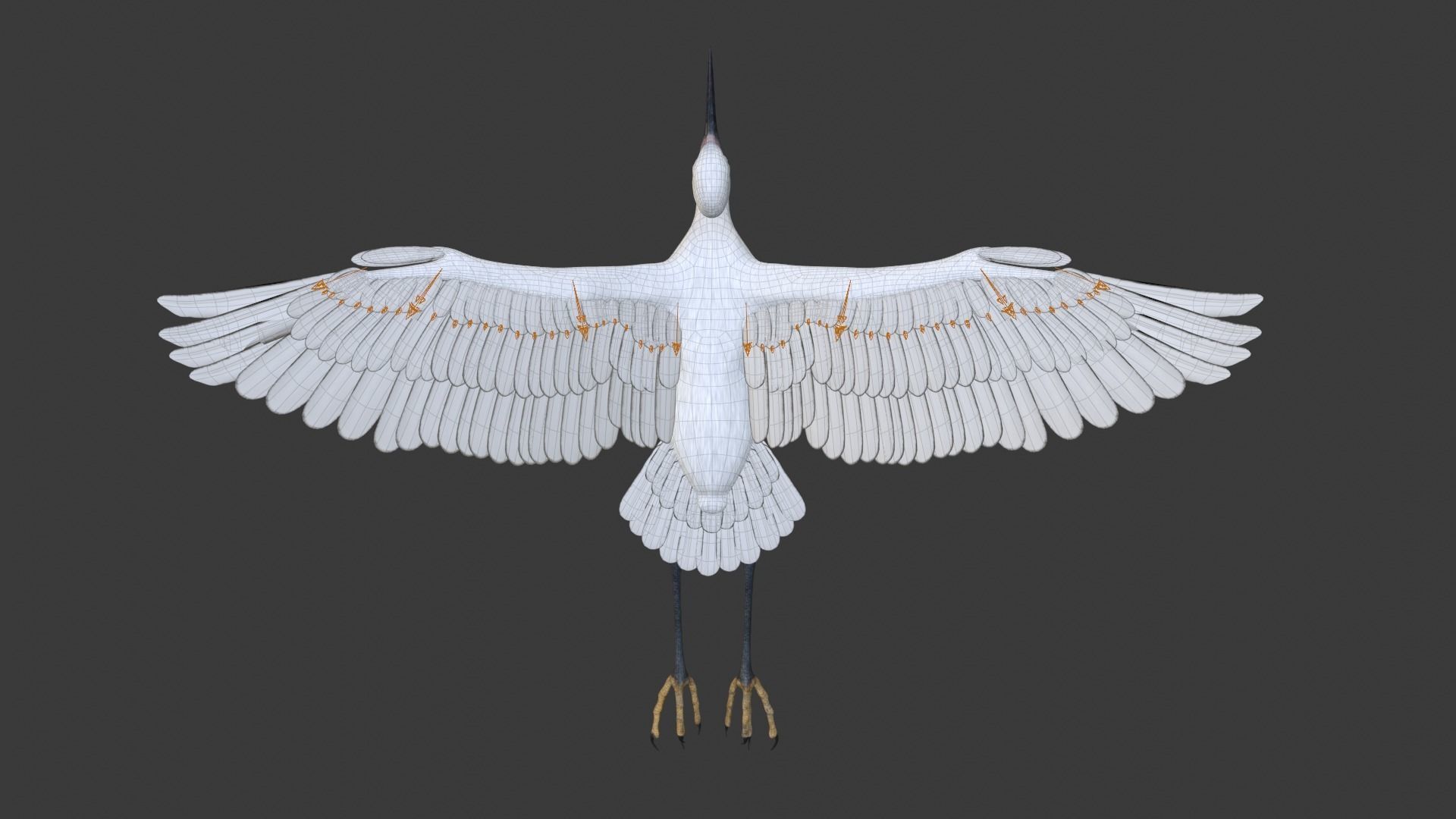Egret Animated VFX Grace 3D model_24