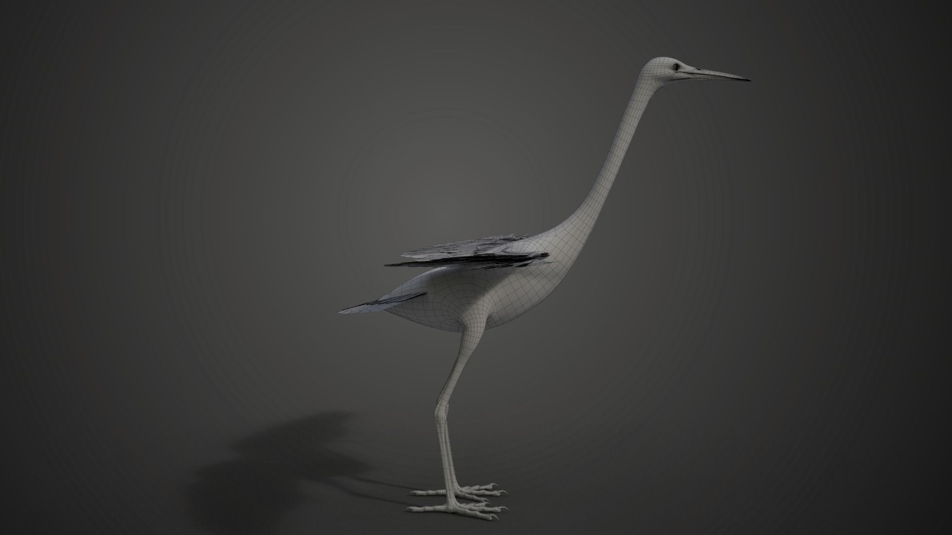Egret Animated VFX Grace 3D model_28