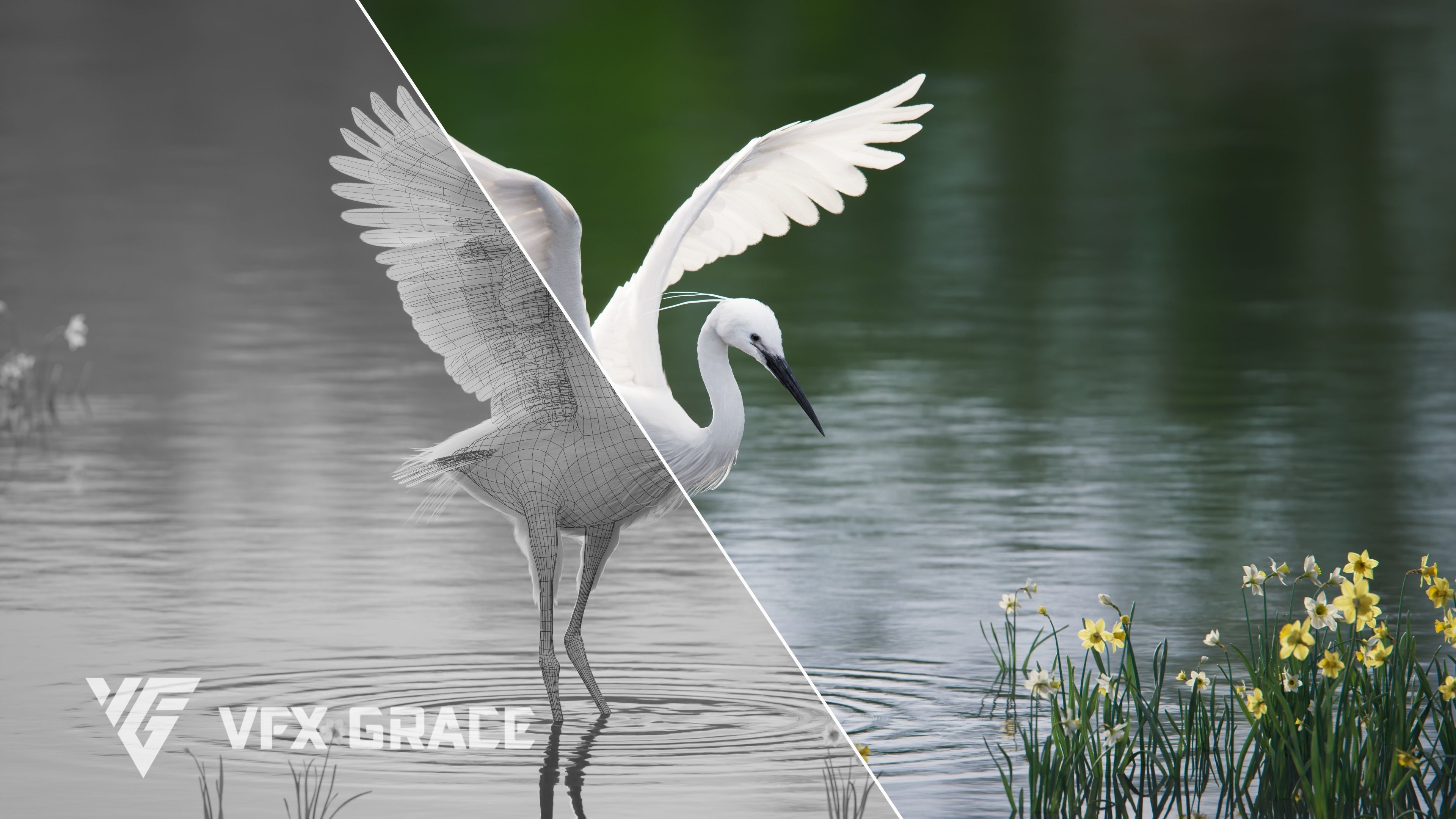 Egret Animated VFX Grace 3D model_4