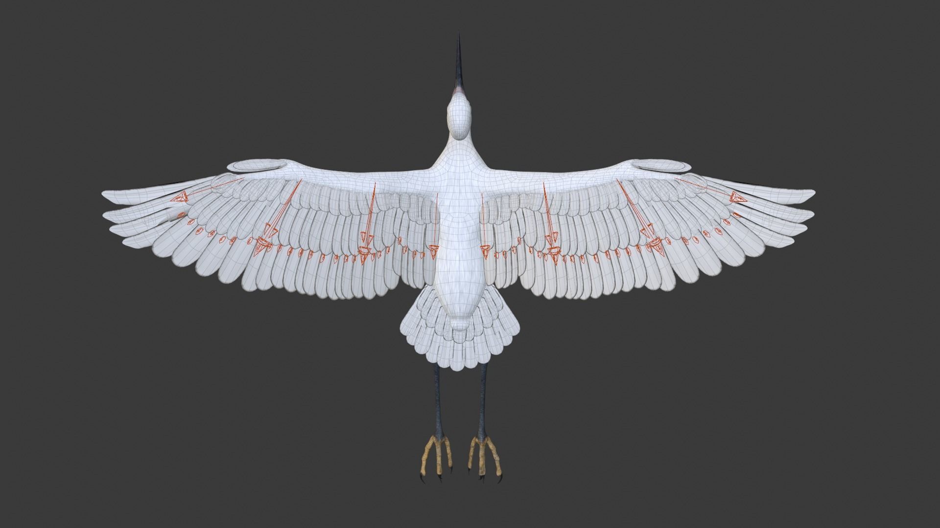 Egret Animated VFX Grace 3D model_18