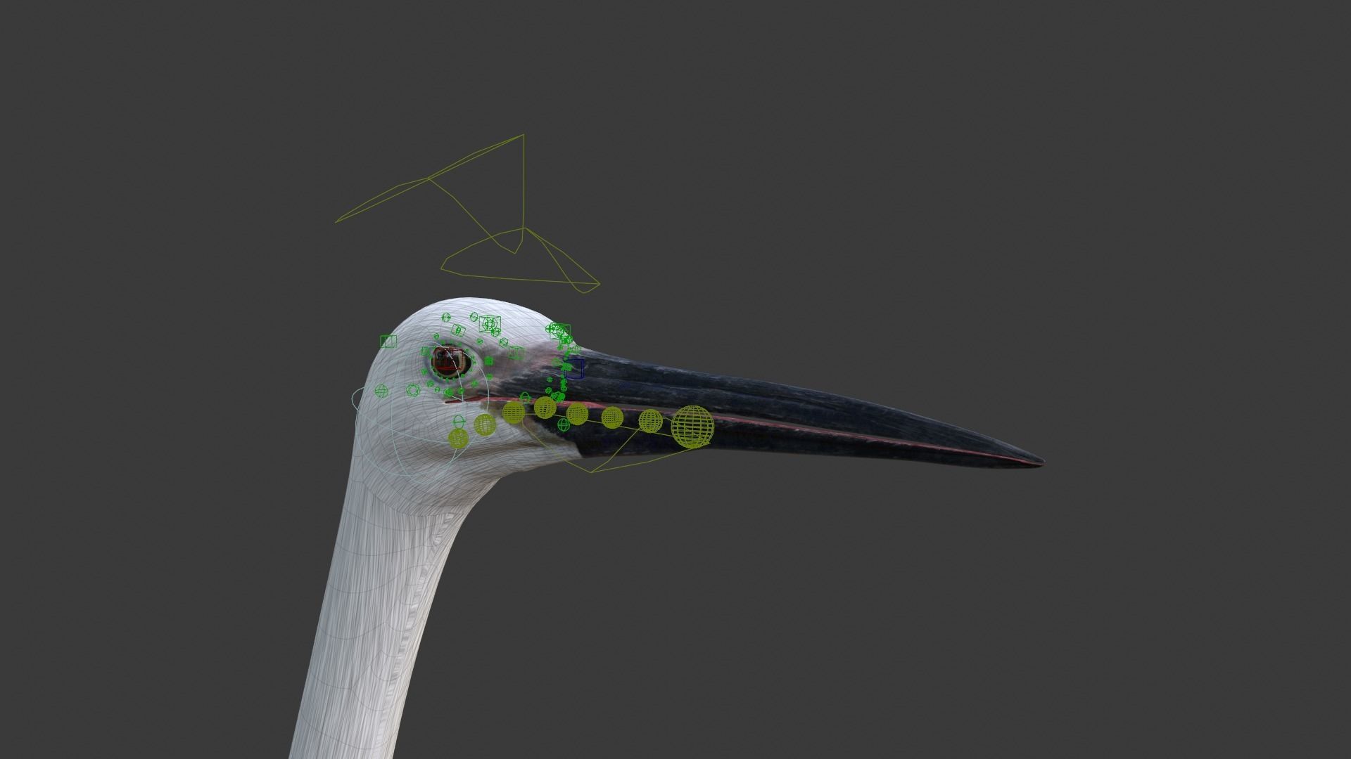 Egret Animated VFX Grace 3D model_21