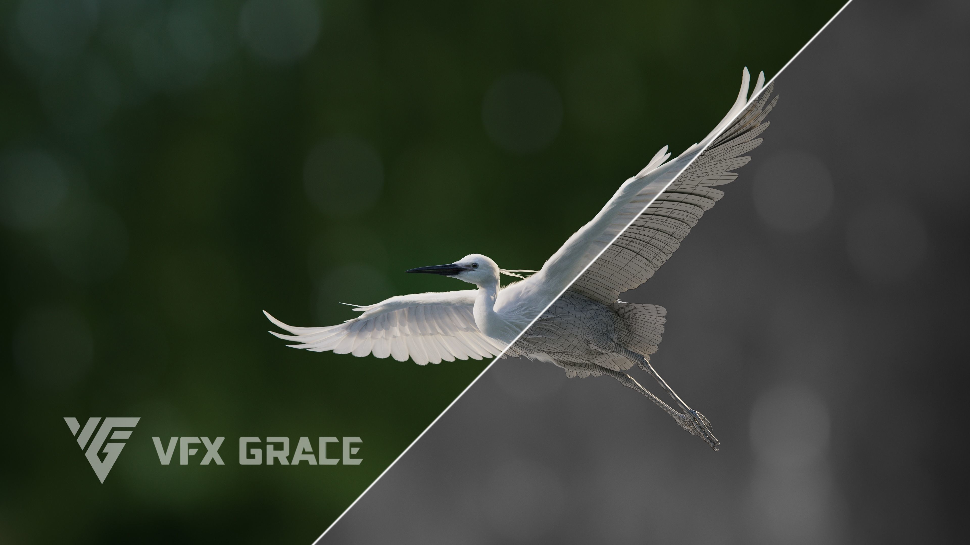 Egret Animated VFX Grace 3D model_6