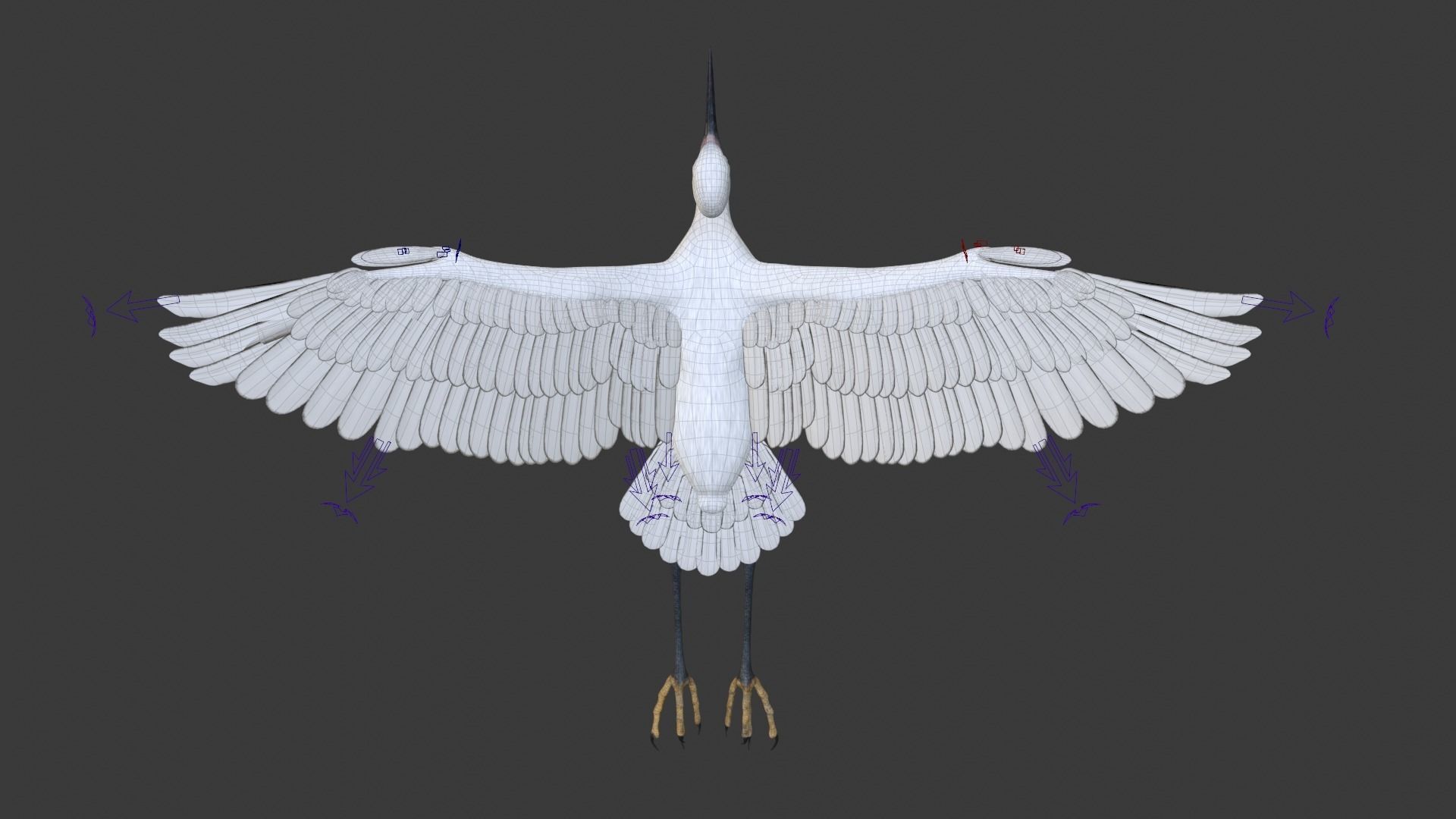 Egret Animated VFX Grace 3D model_25