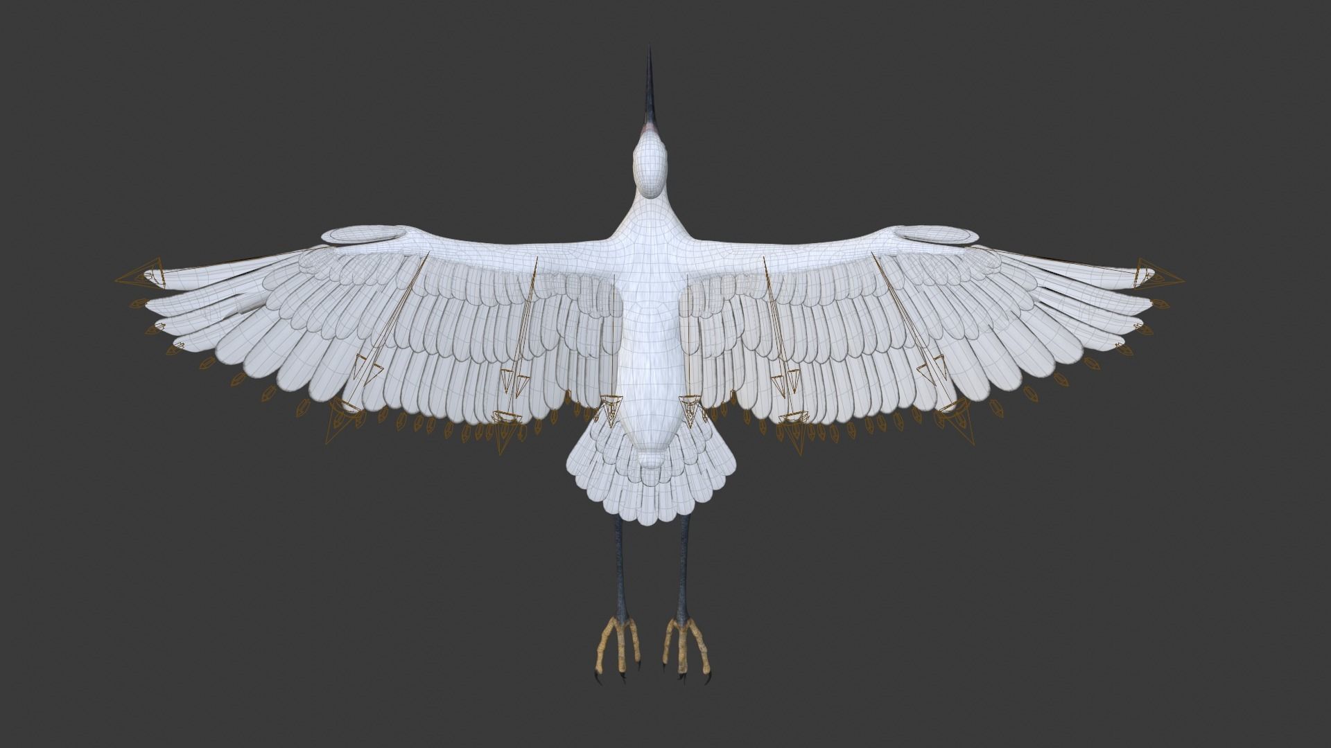 Egret Animated VFX Grace 3D model_19