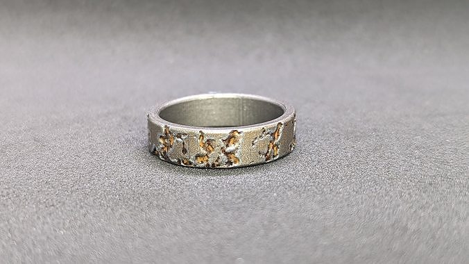 Iron Meteorite Ring 3D print model