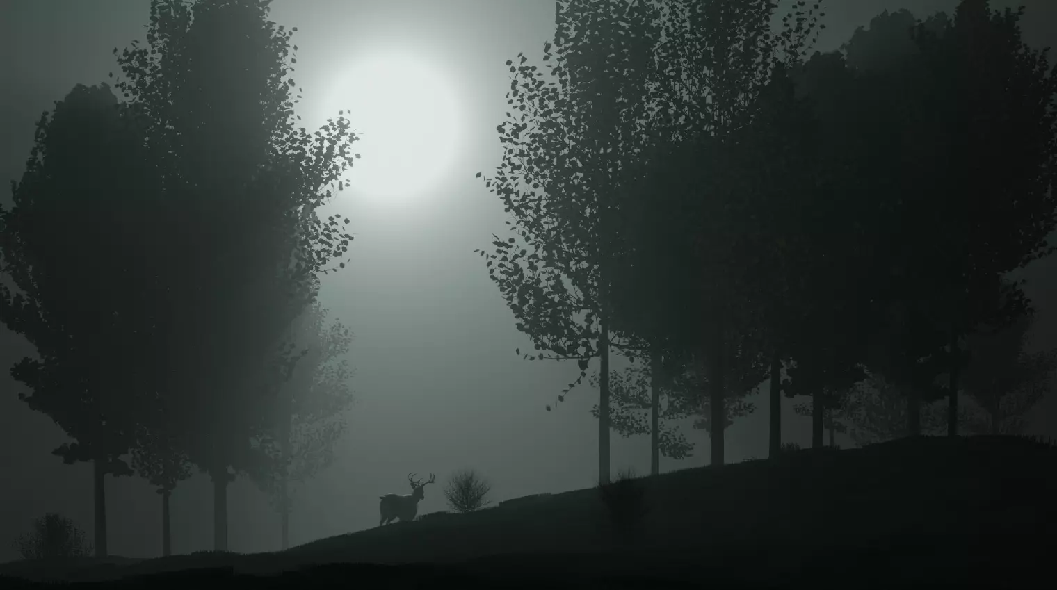 forest deer in at night Free 3D model