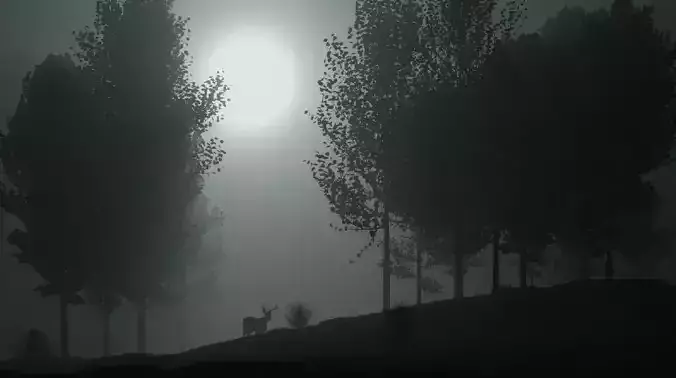 forest deer in at night