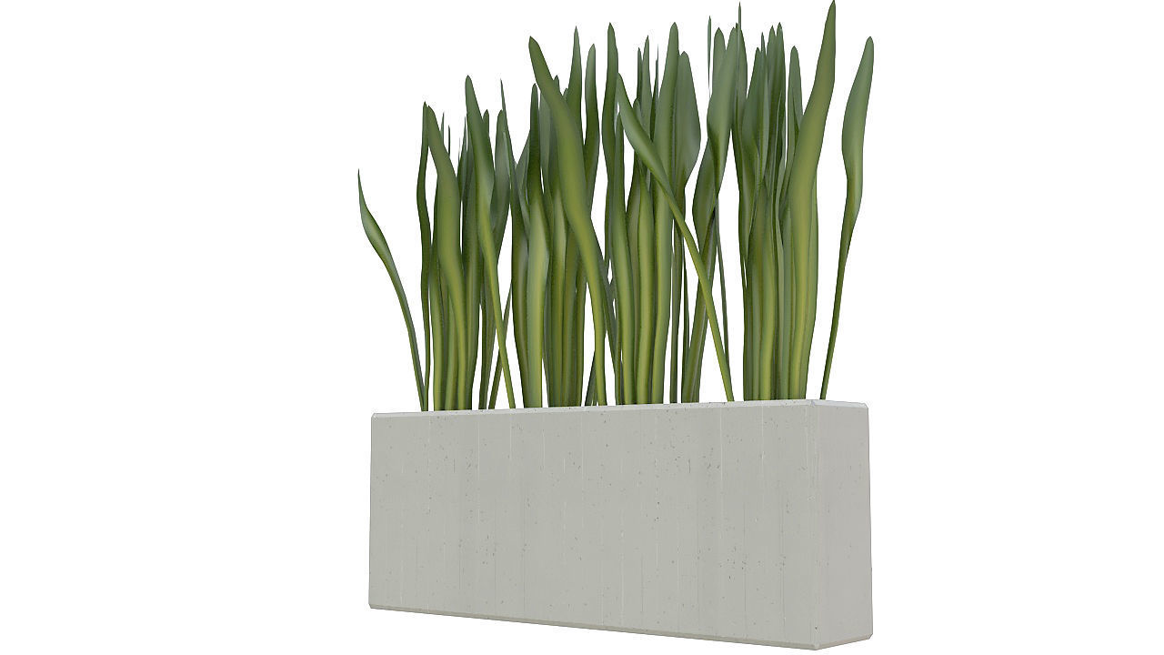 Concrete planter with long leaves 3D model_2