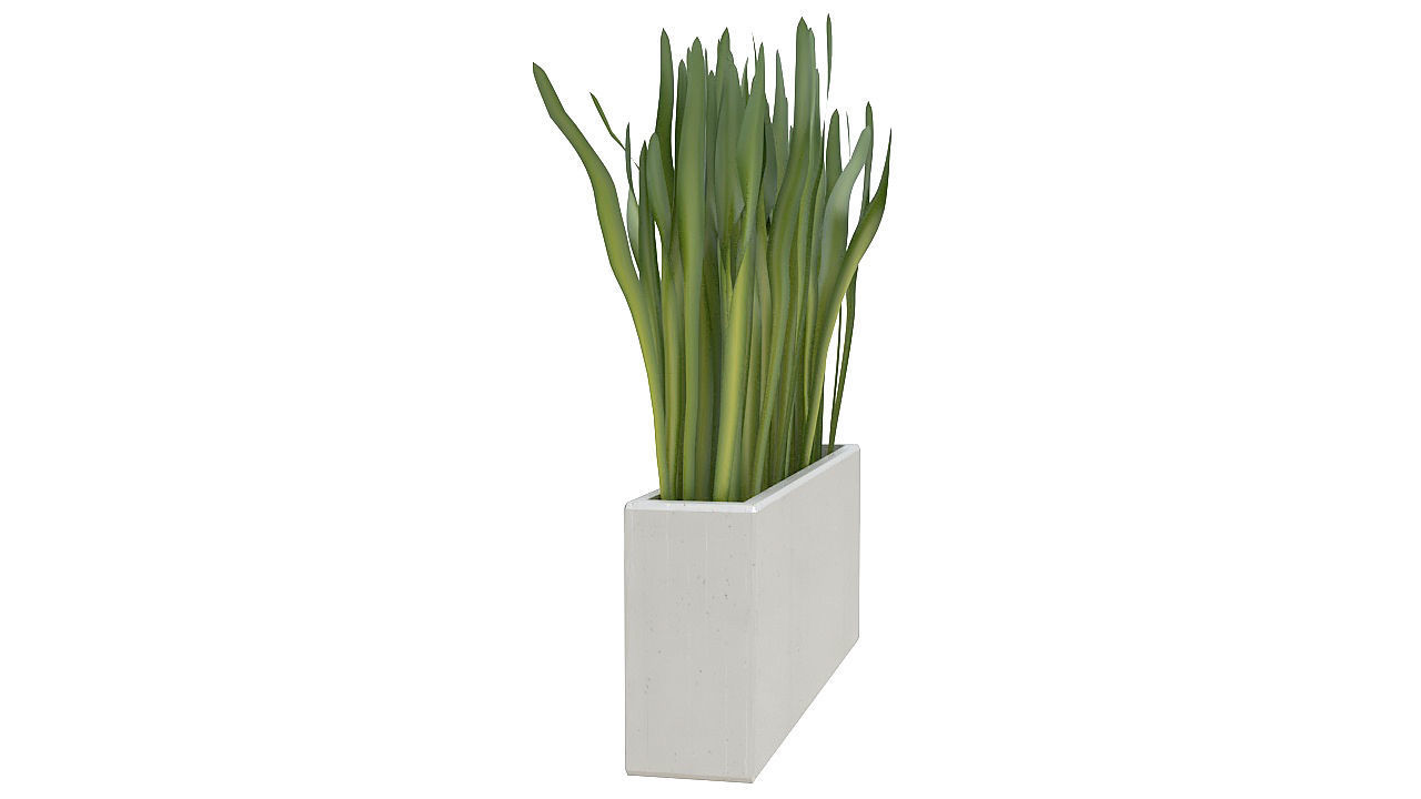 Concrete planter with long leaves 3D model_3