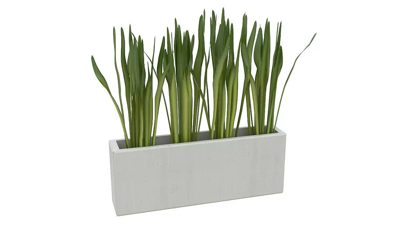 Concrete planter with long leaves 3D model_0