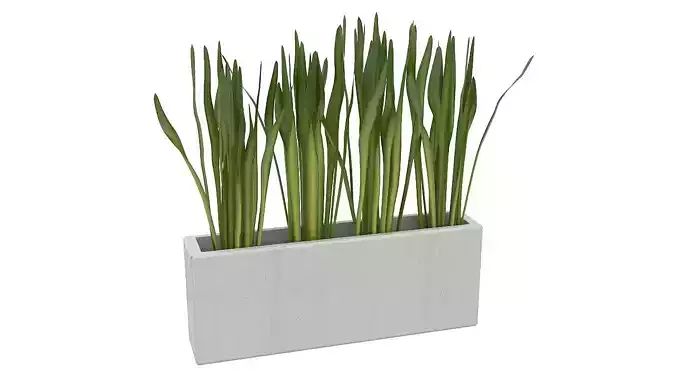 Concrete planter with long leaves 3D model