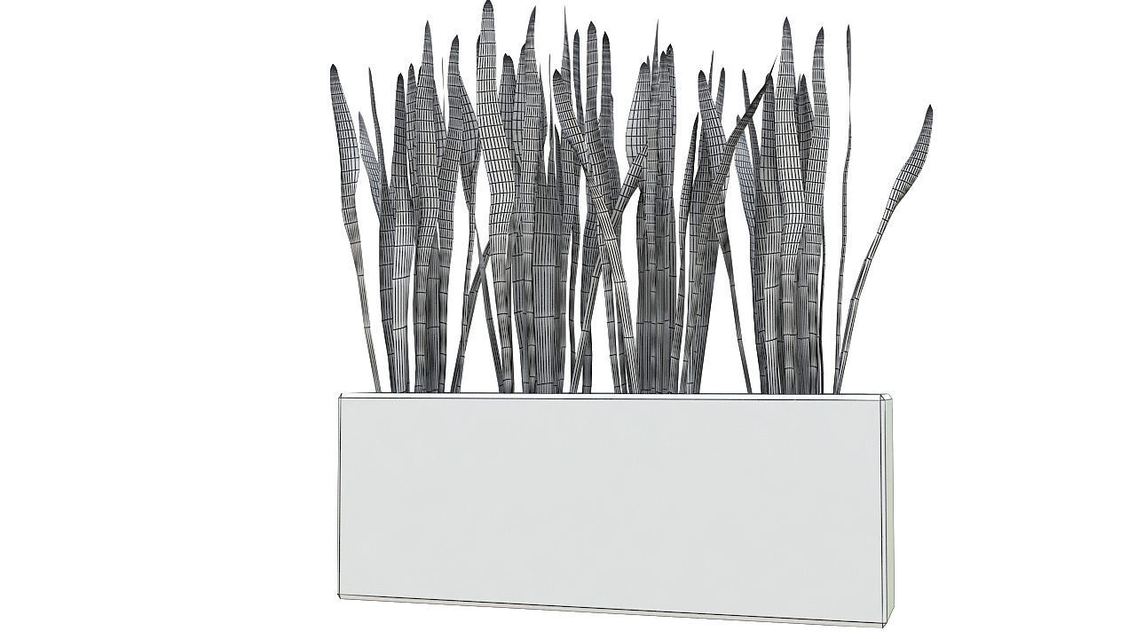 Concrete planter with long leaves 3D model_7