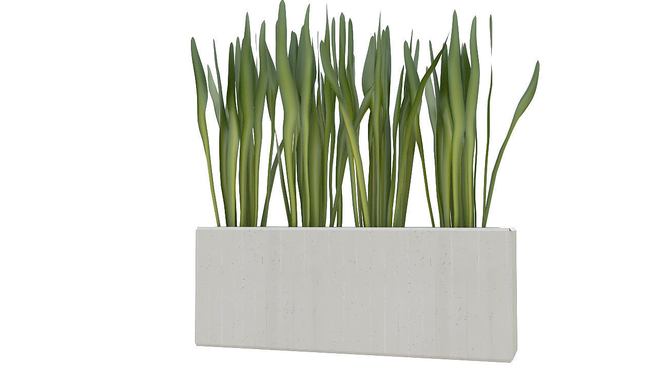 Concrete planter with long leaves 3D model_5