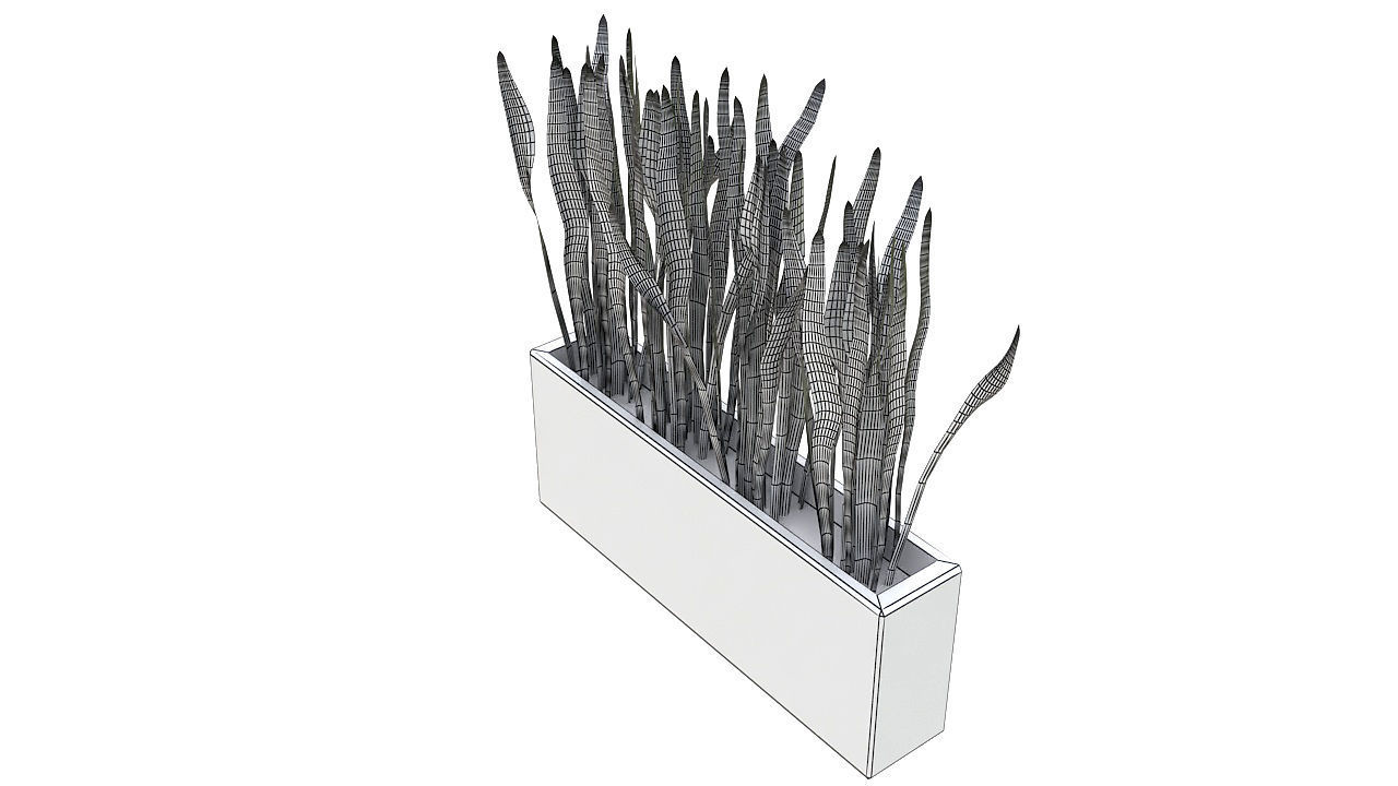 Concrete planter with long leaves 3D model_8