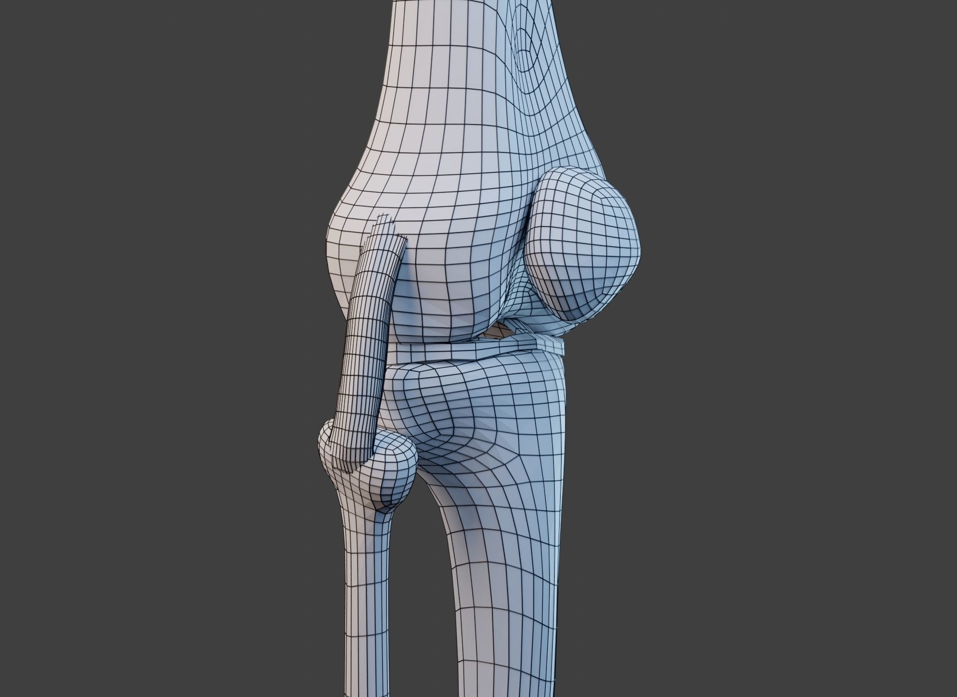 Knee Joint Ligaments Low-poly 3D model_18