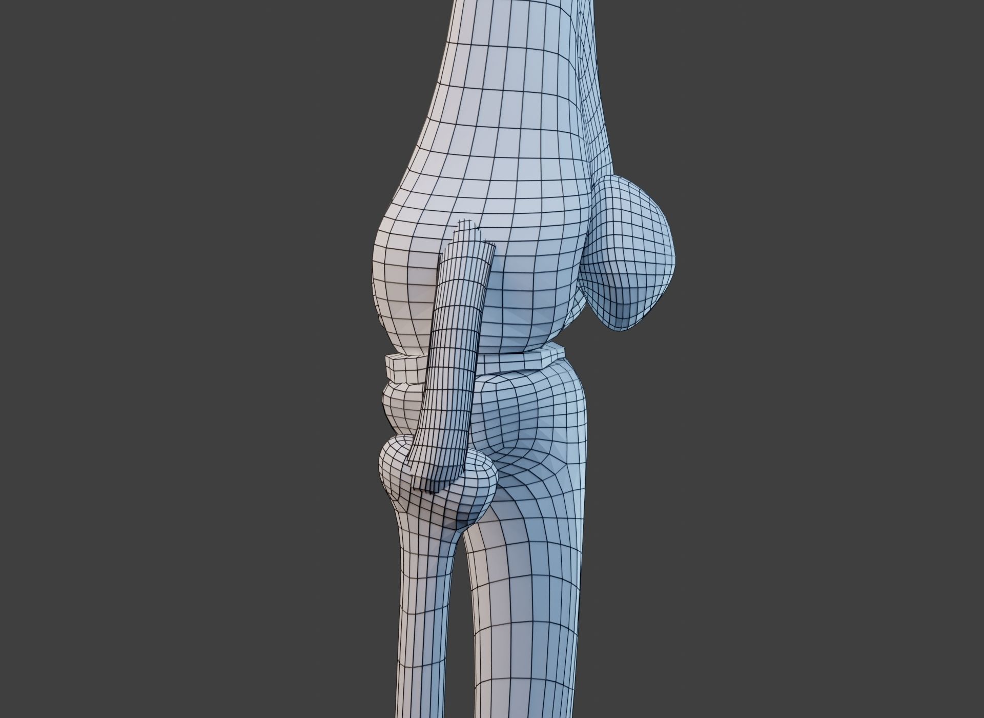 Knee Joint Ligaments Low-poly 3D model_19