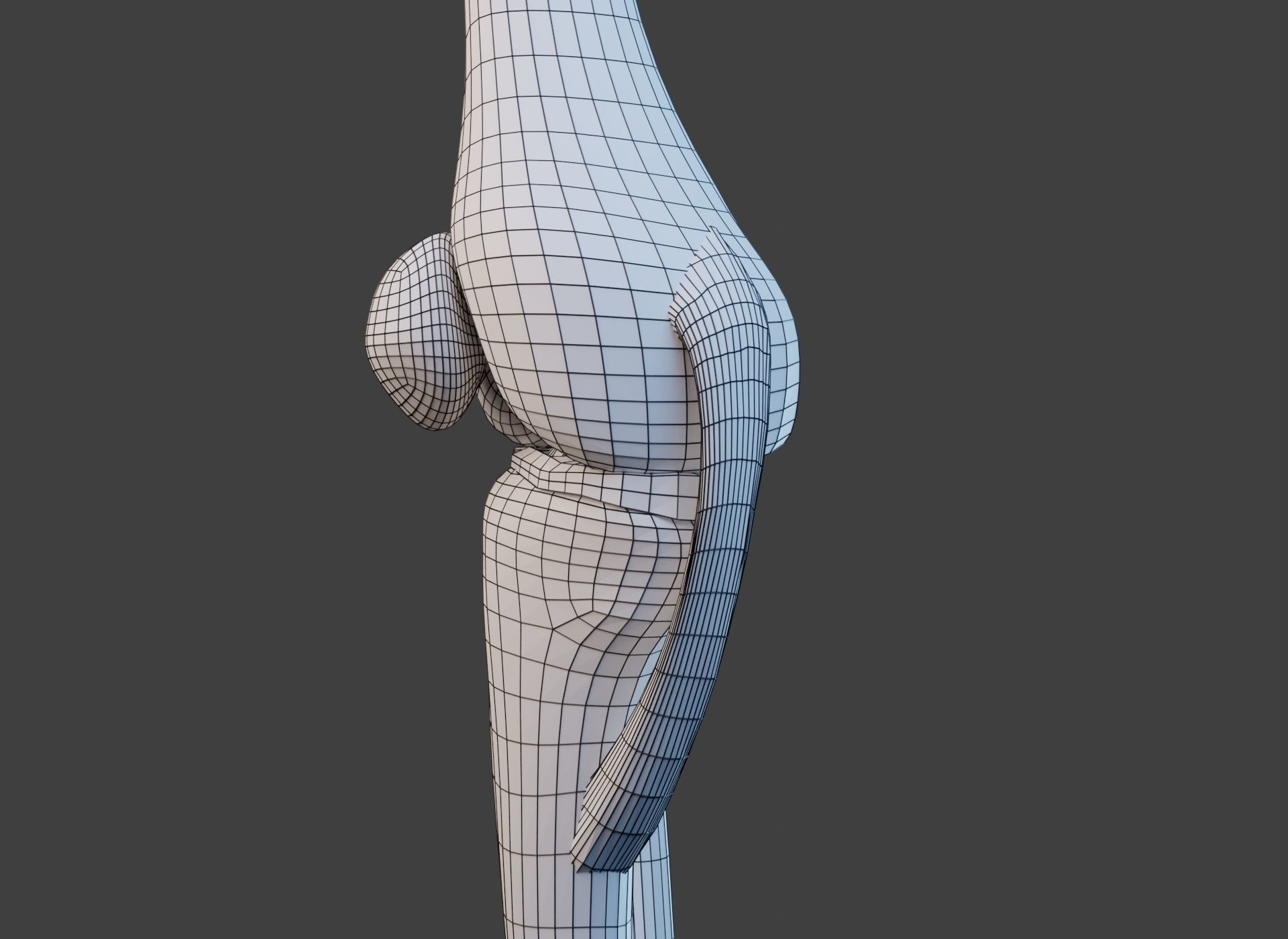 Knee Joint Ligaments Low-poly 3D model_27