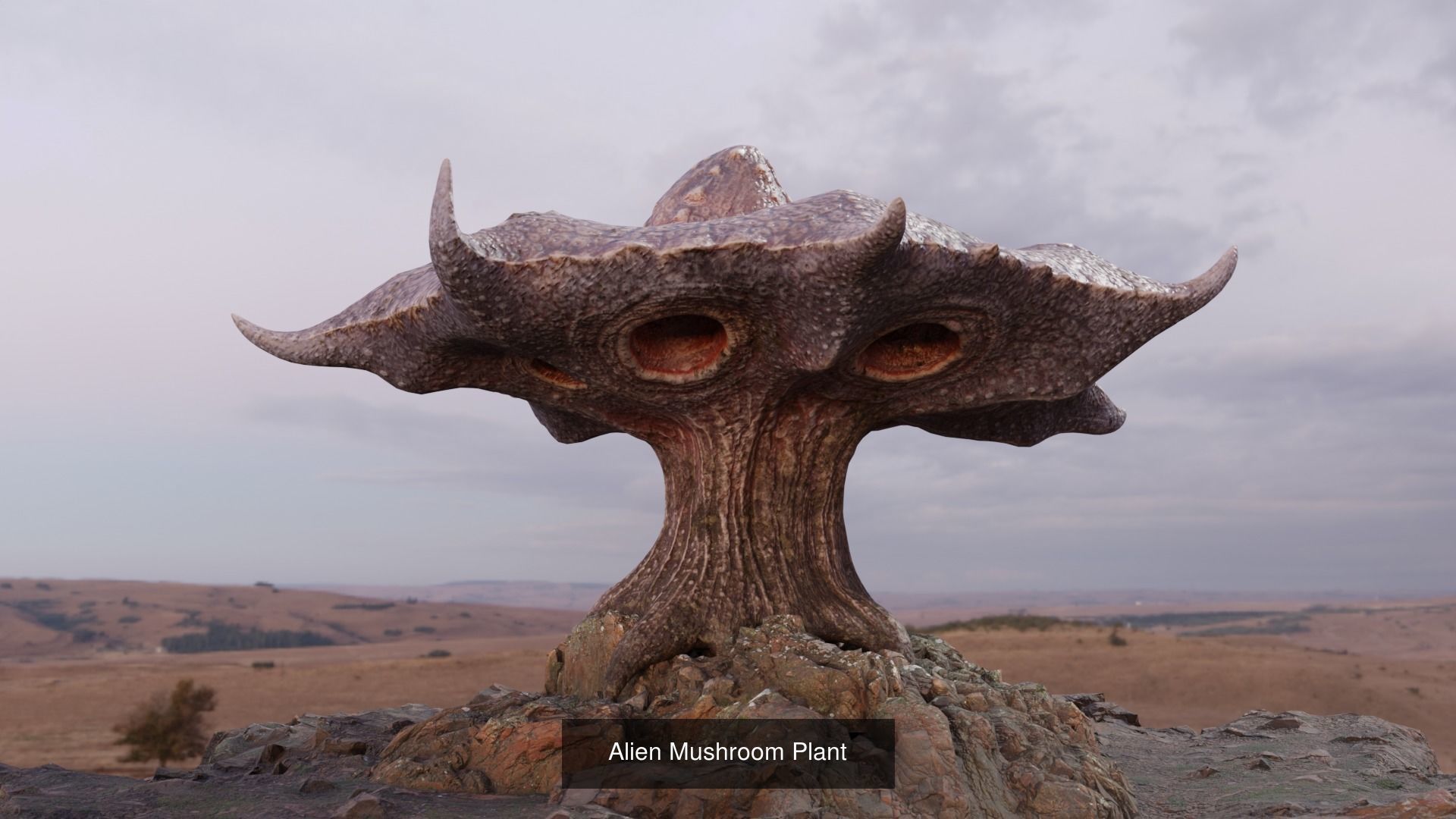 Alien Vegetation 3D Model Collection_12