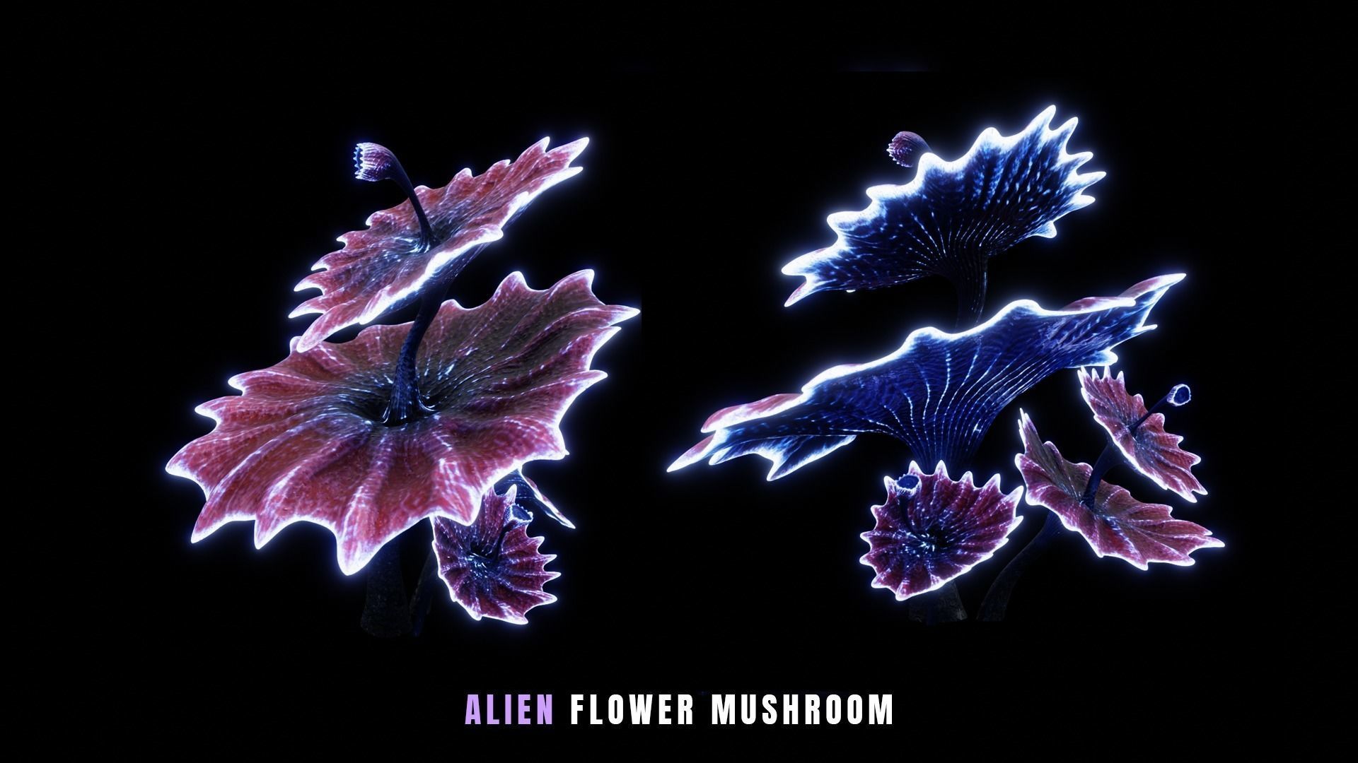 Alien Vegetation 3D Model Collection_10