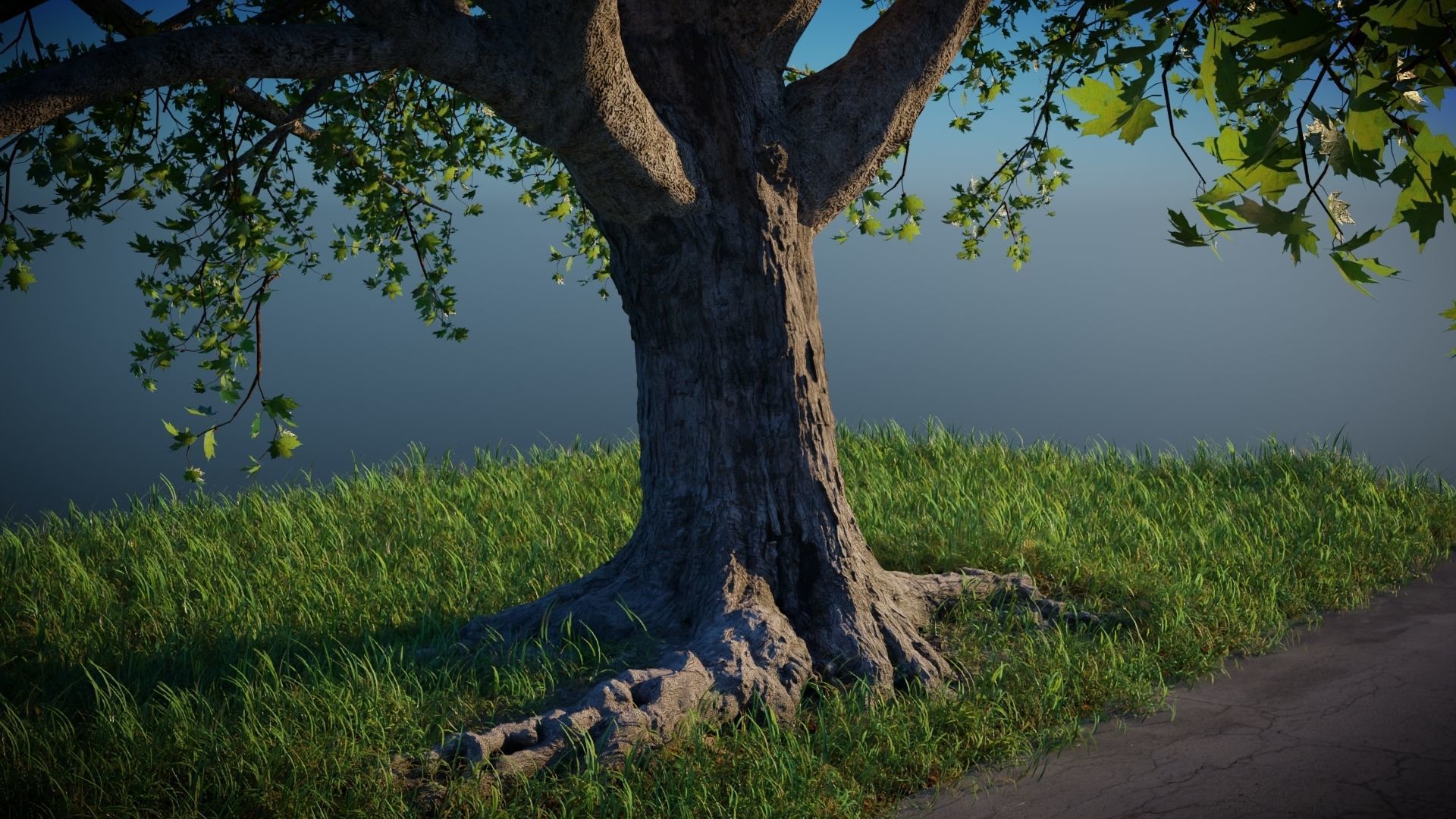 Tree on the Road - Complete tree package with particles 3D model_7