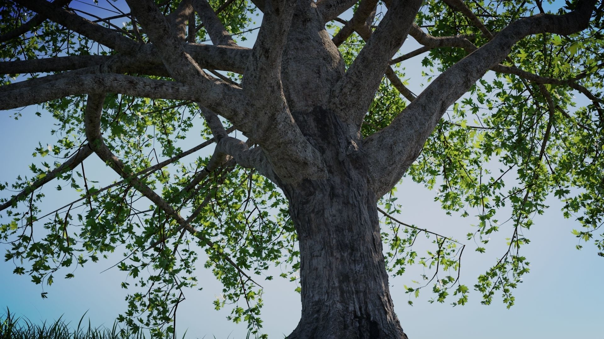 Tree on the Road - Complete tree package with particles 3D model_4