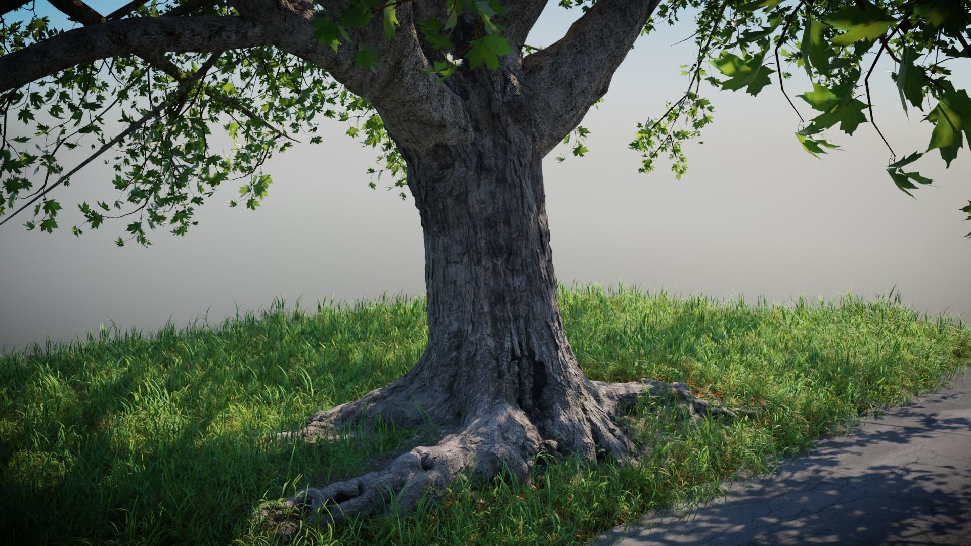 Tree on the Road - Complete tree package with particles 3D model_6