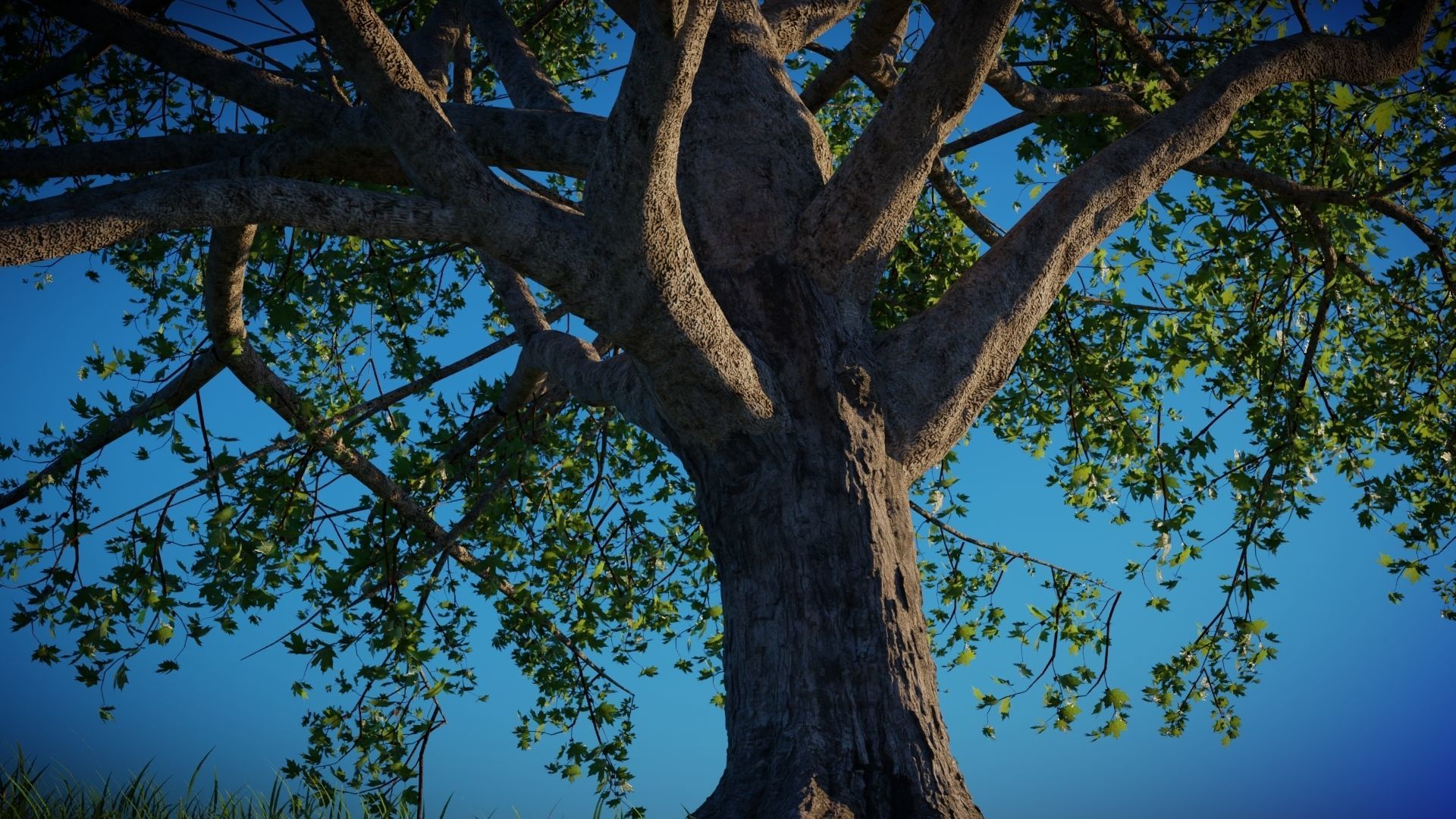 Tree on the Road - Complete tree package with particles 3D model_5