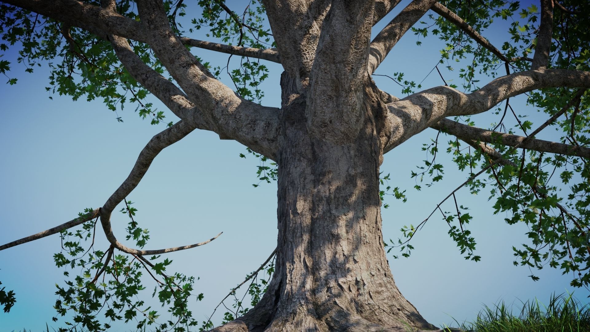 Tree on the Road - Complete tree package with particles 3D model_2