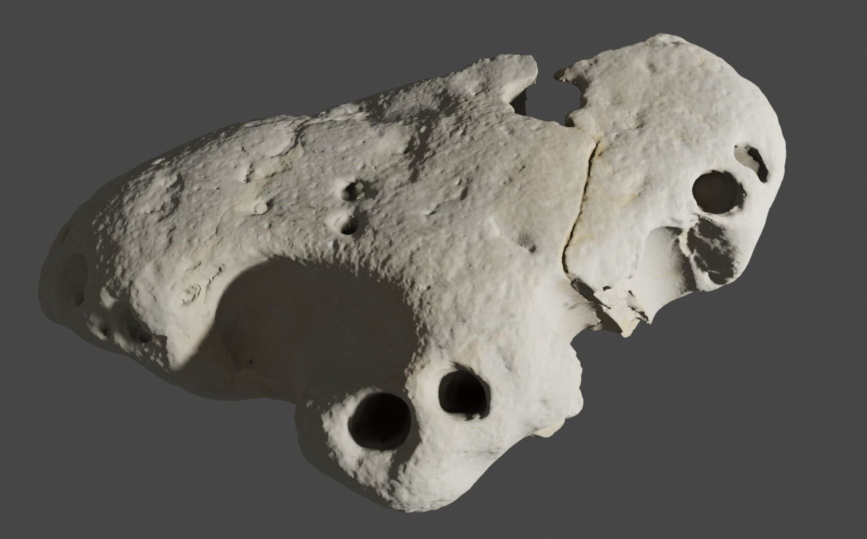 Coral stone Free low-poly 3D model_2