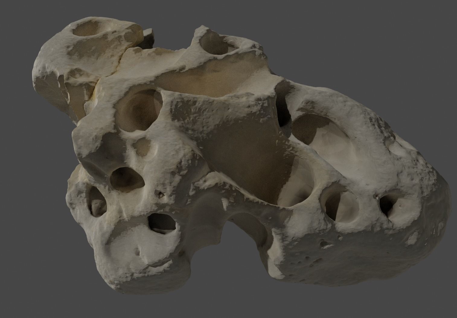 Coral stone Free low-poly 3D model_1