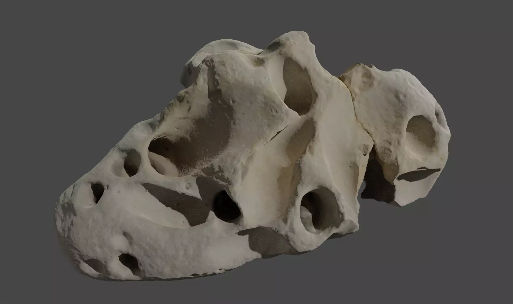 Coral stone Free low-poly 3D model_0