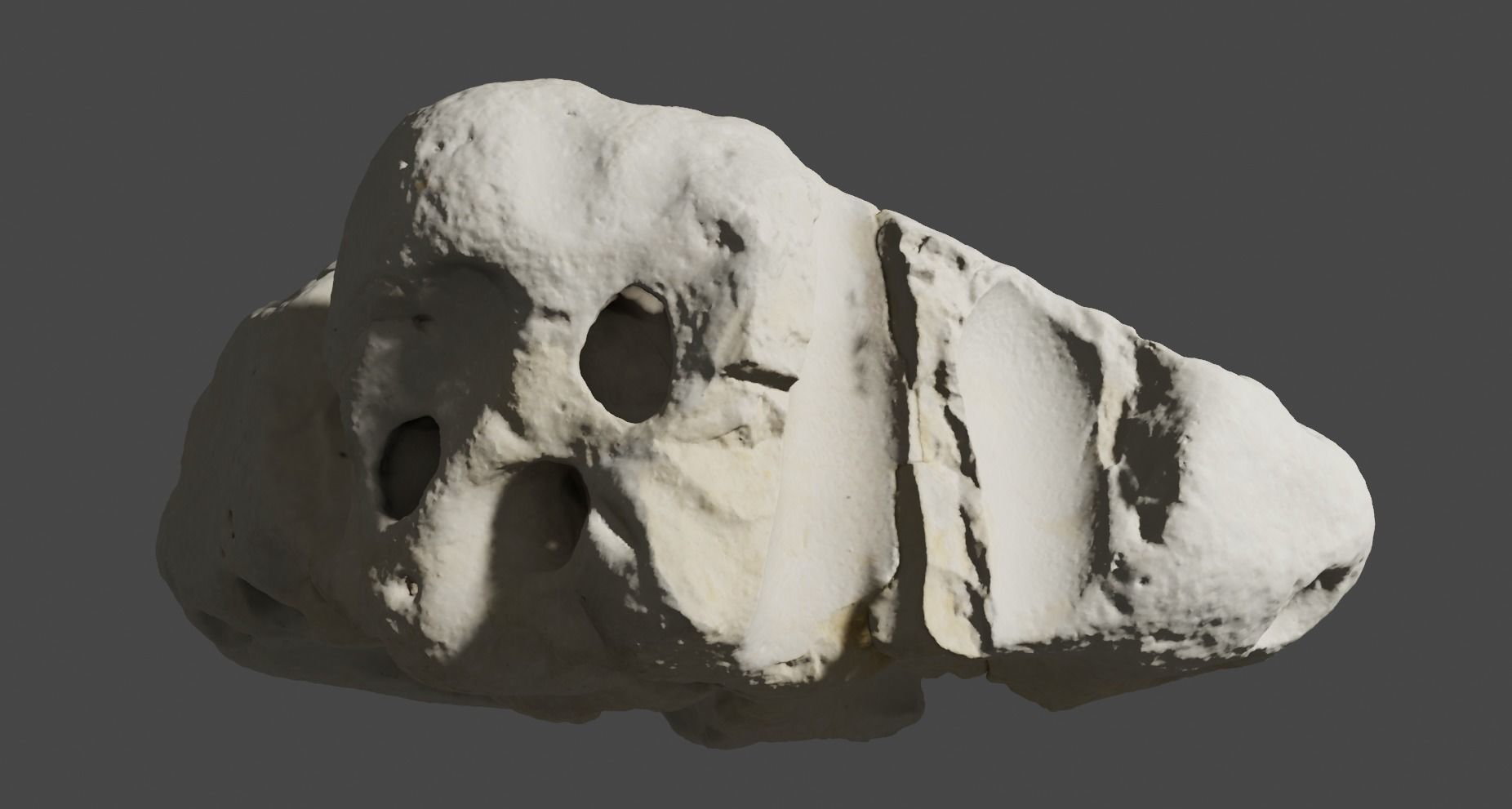 Coral stone Free low-poly 3D model_3