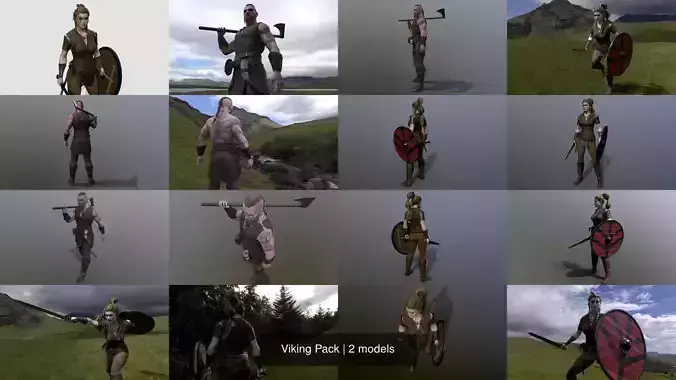 Viking Pack 3D Model Collection