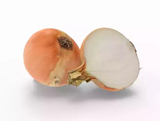 Onion -