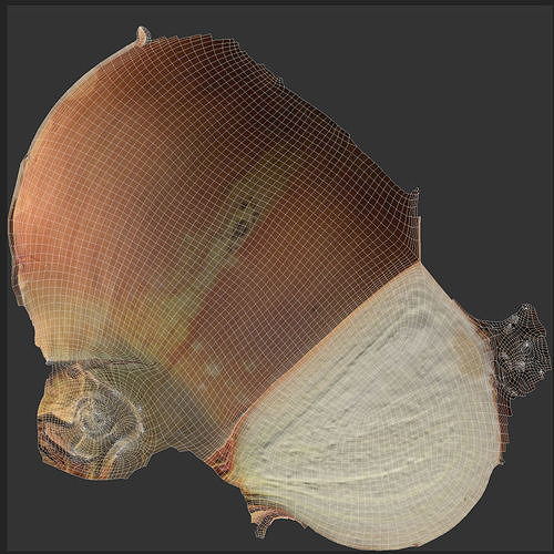Onion Low-poly 3D model 5