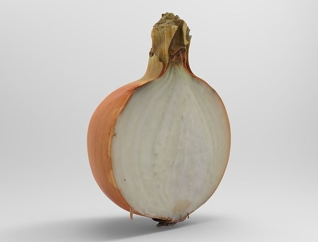 Onion Low-poly 3D model 3
