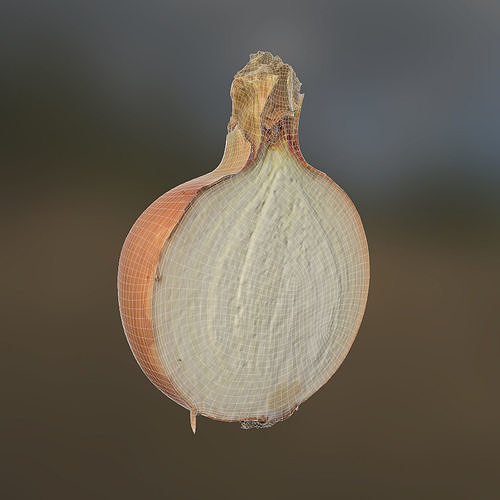 Onion Low-poly 3D model 4