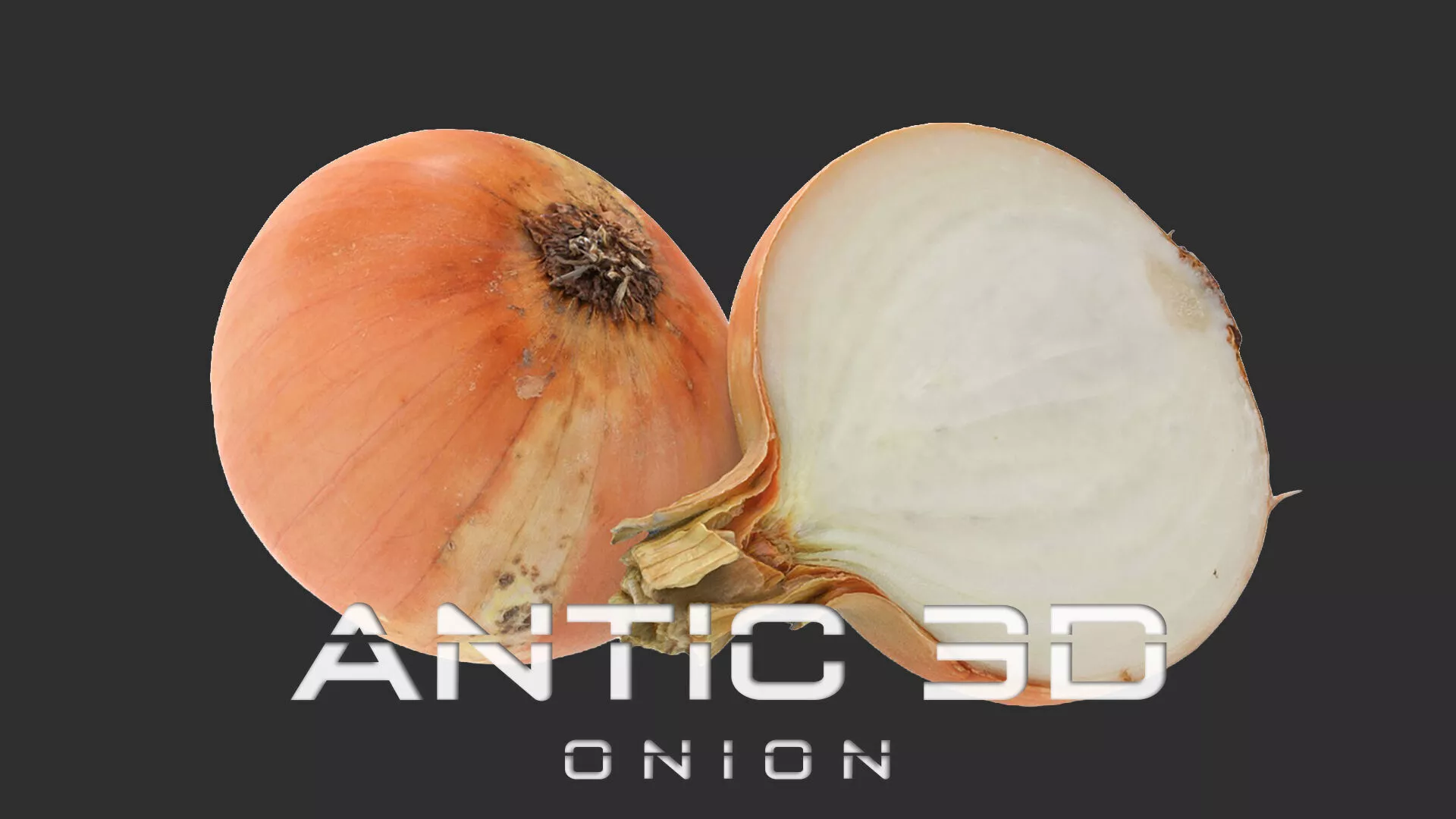 Onion Low-poly 3D model
