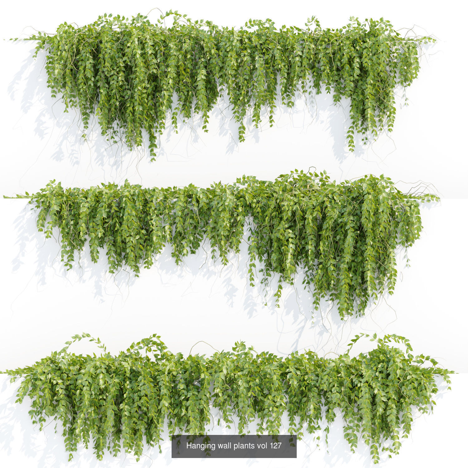 Creeper Hanging wall plants vol 2 collection  _2