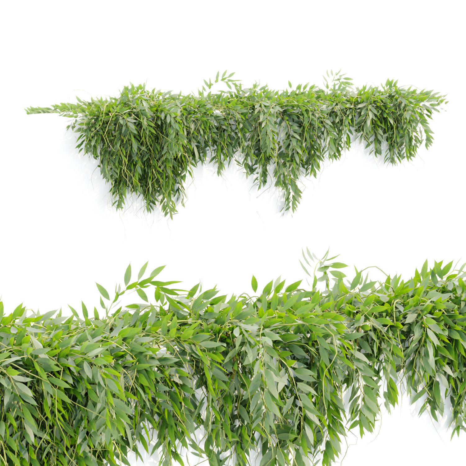 Creeper Hanging wall plants vol 2 collection  _3