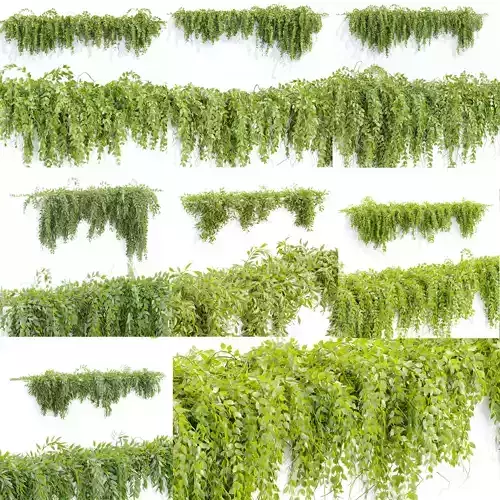 Creeper Hanging wall plants vol 2 collection  