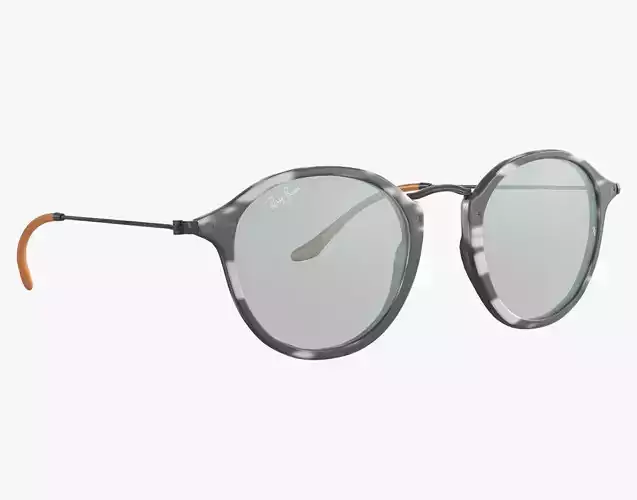 Sunglass Ray Ban Round Fleck Pop Polarized Grey Classic Tortoise 3D model