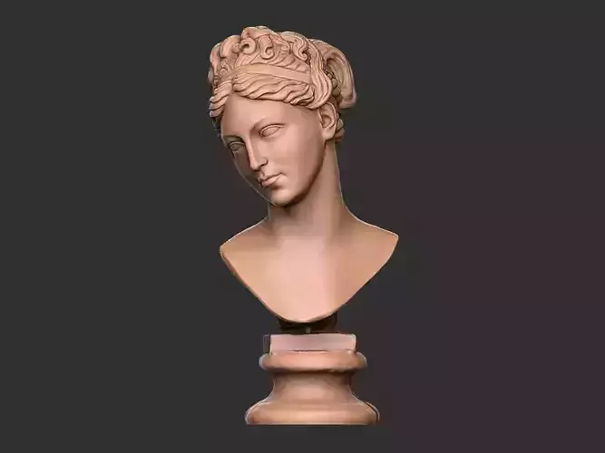 venus statue Bust