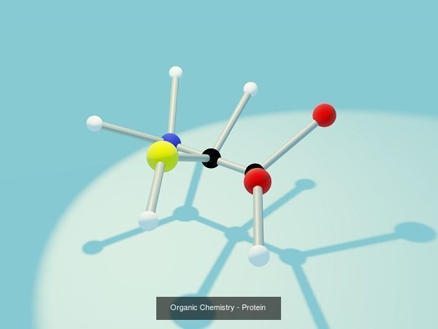 MEDICAL SCIENCE MOLECULES PACK 3D Model Collection_2