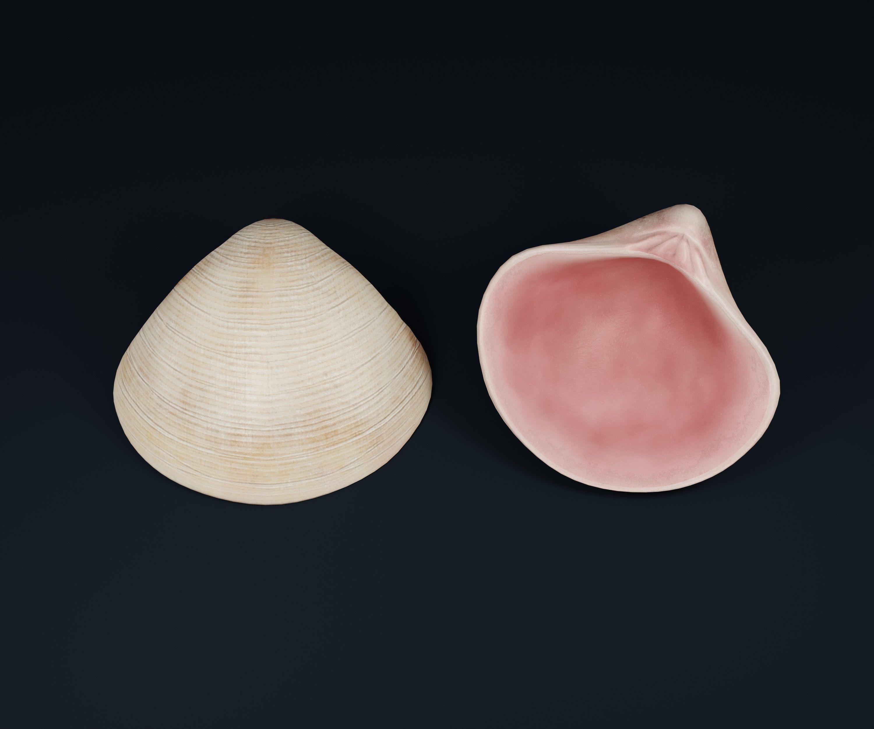 Low Poly Sea Shells Pack with Unreal Engine 5 Project Low-poly 3D model_22