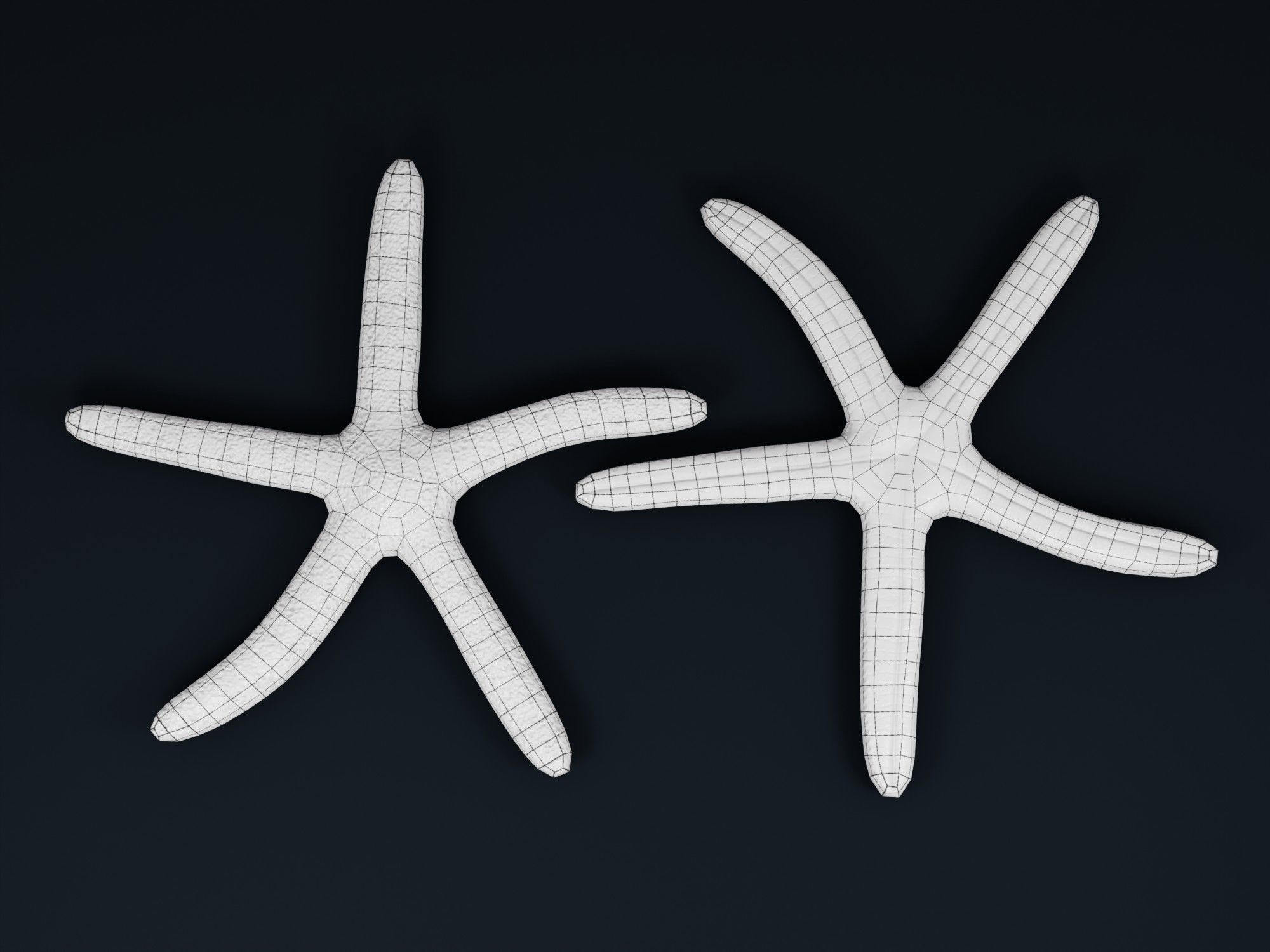 Low Poly Sea Shells Pack with Unreal Engine 5 Project Low-poly 3D model_38