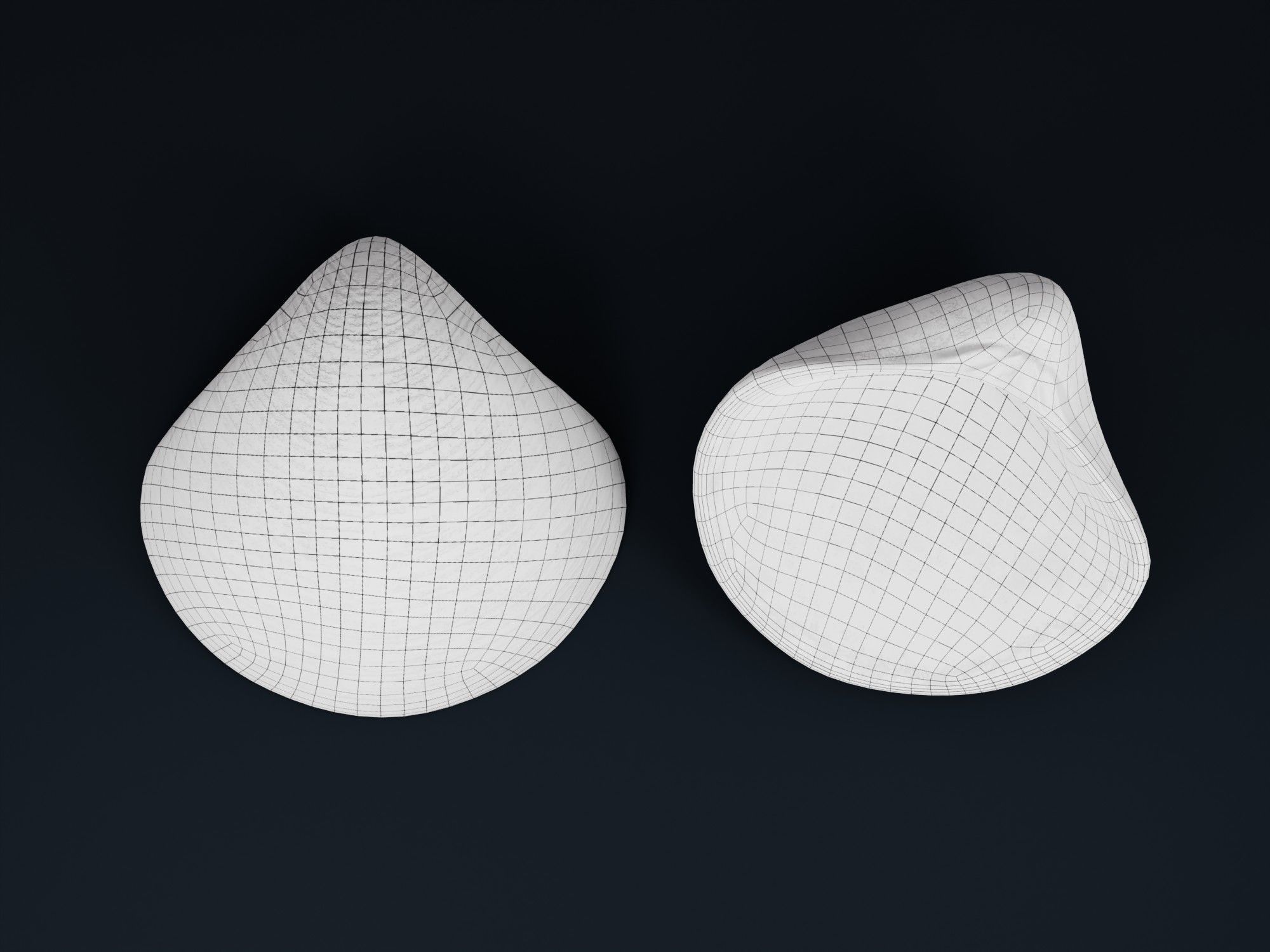 Low Poly Sea Shells Pack with Unreal Engine 5 Project Low-poly 3D model_32